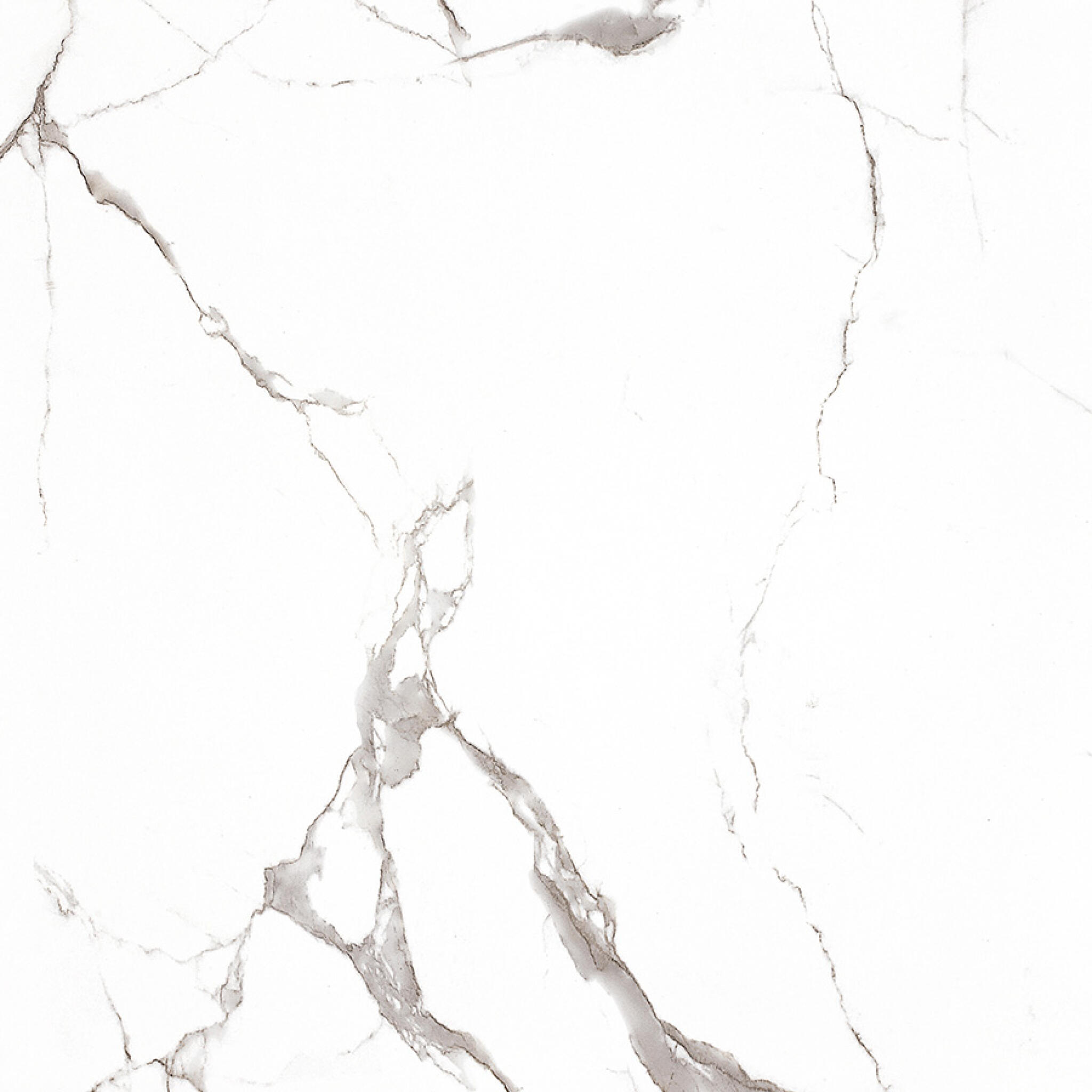 Bianco Calacatta White
